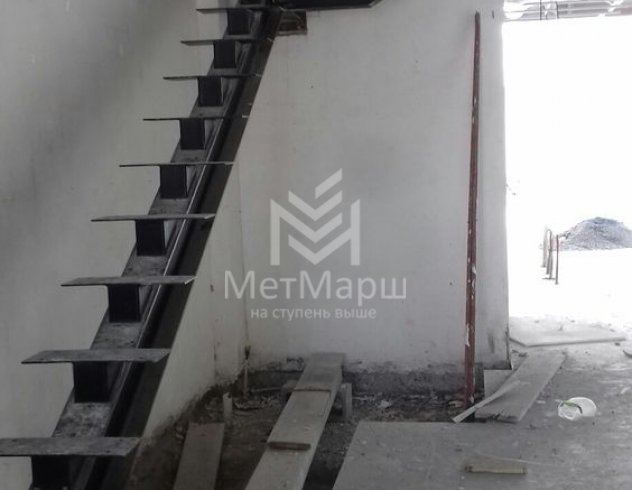 Монокосоур в дом