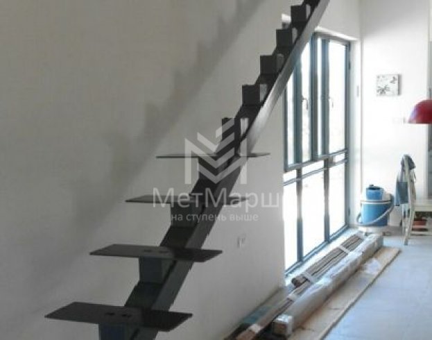 Монокосоур в дом